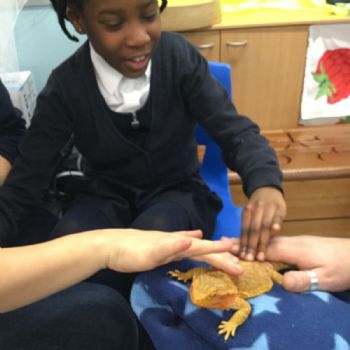 Animals visit Tigers (9)